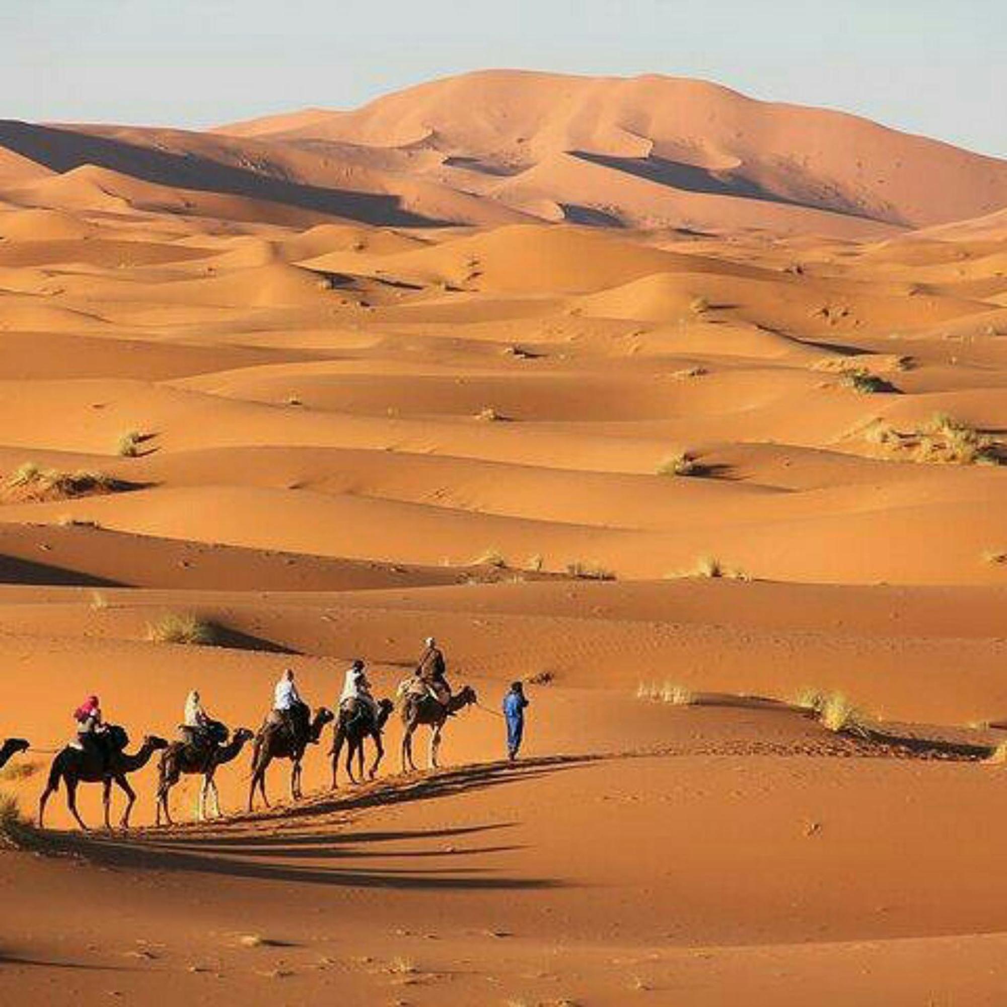 Best Desert Luxury Camp เมอร์ซูกา ภายนอก รูปภาพ